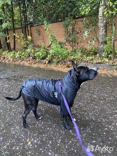 Куртка дождевик для собак