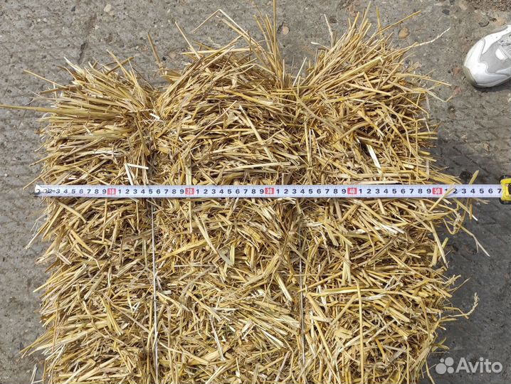 Солома в тюках с доставкой