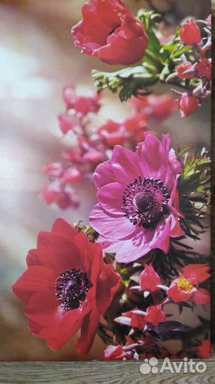 Коробка из под конфет