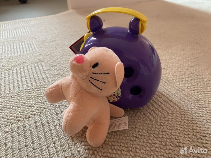 Котенок в переноске