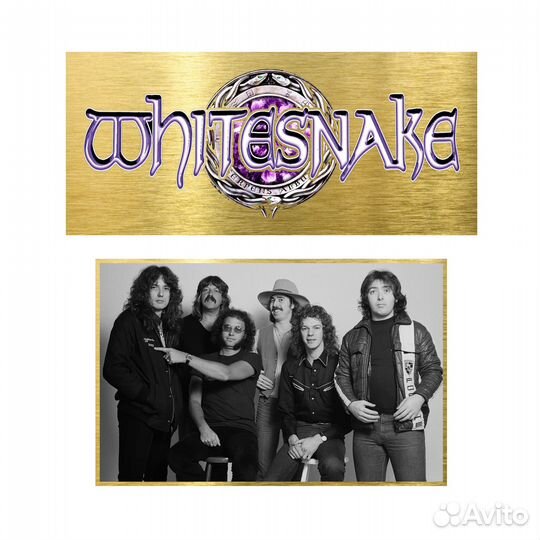 Whitesnake come and get it картина