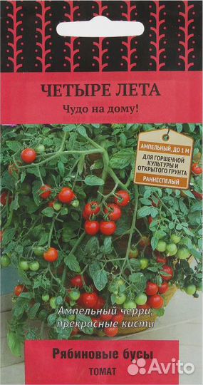 Рассада комнатных томатов, огурец «комнатный»
