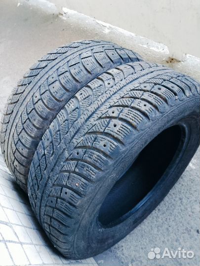 Gislaved Nord Frost 5 195/65 R15 91T