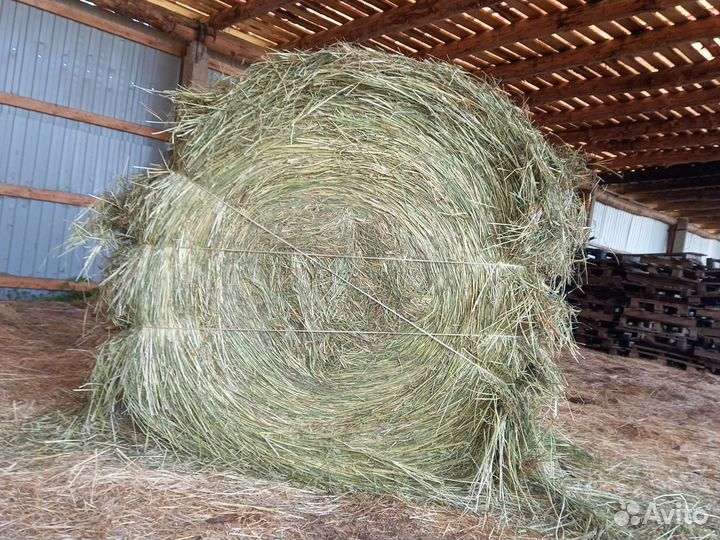 Сено укос 2023 года