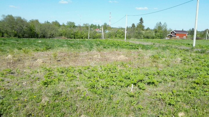 Участок 22,5 сот. (СНТ, ДНП)