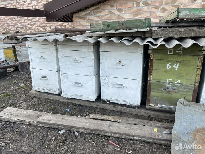 Улья, улей, ульи. Корпусы