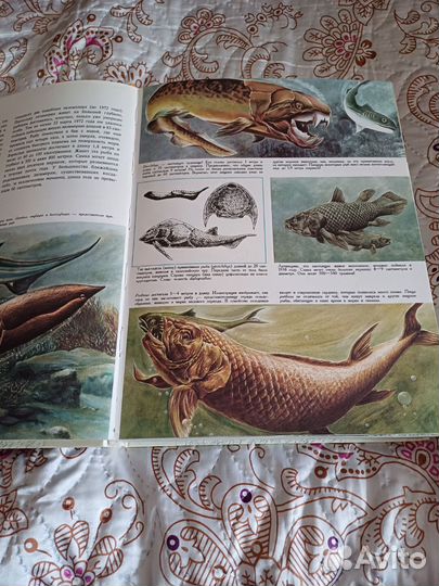 Энциклопедия тайная жизнь животных