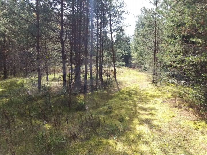 Участок 4,08 га (СНТ, ДНП)