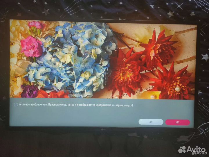 Телевизор LG 43LH513V