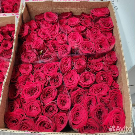 Розы с доставкой, букеты из роз