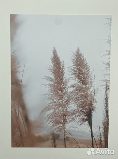 Фотографии природы