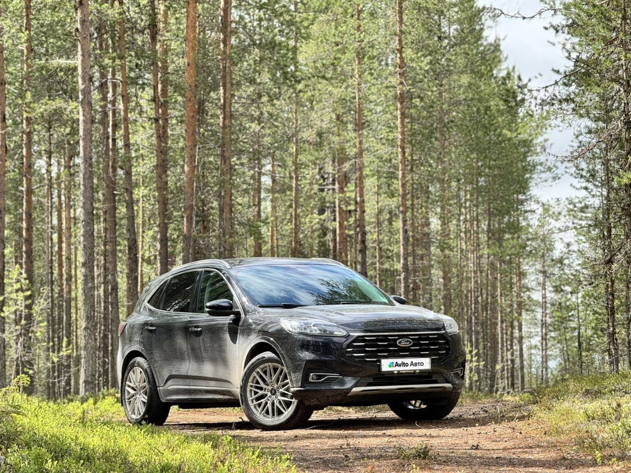 Ford Escape: фото владельца