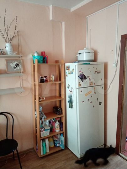 Комната 15,7 м² в > 9-к., 1/5 эт.