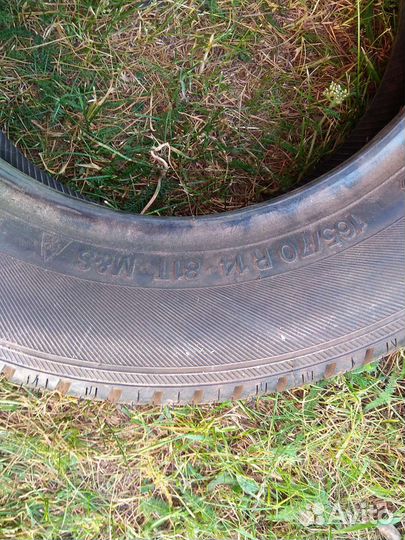 Accelera Accelera Summer 165/70 R14