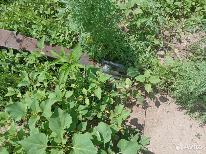 Продам прицеп бу для перевозки пчел