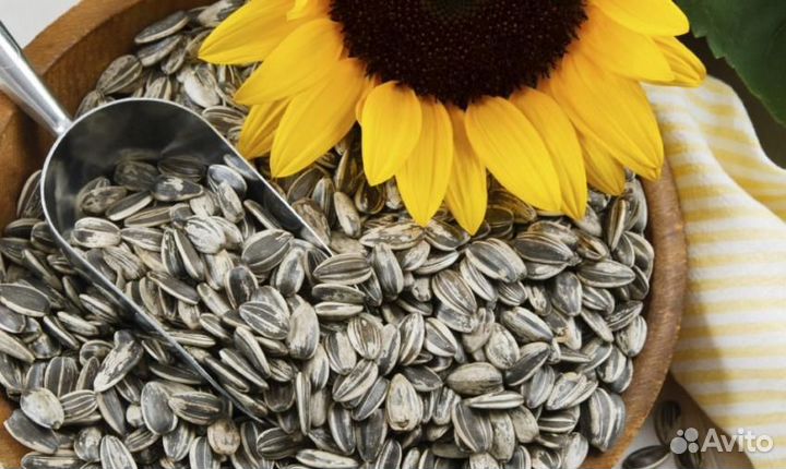 Технолог (жареные семечки)