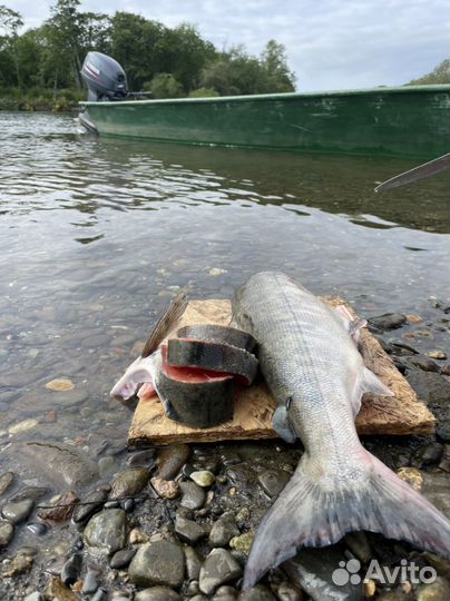 Рыбалка на камчатке