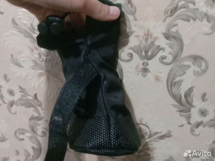 Обувь для собак