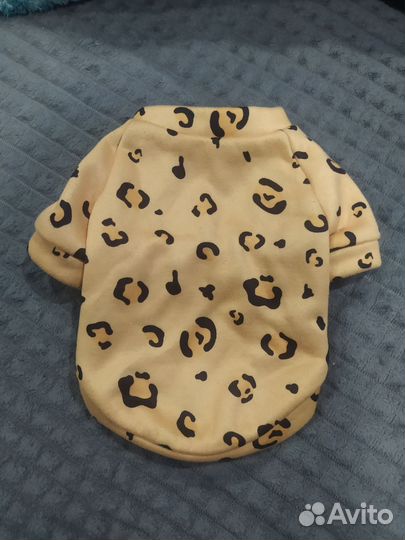 Одежда для собак