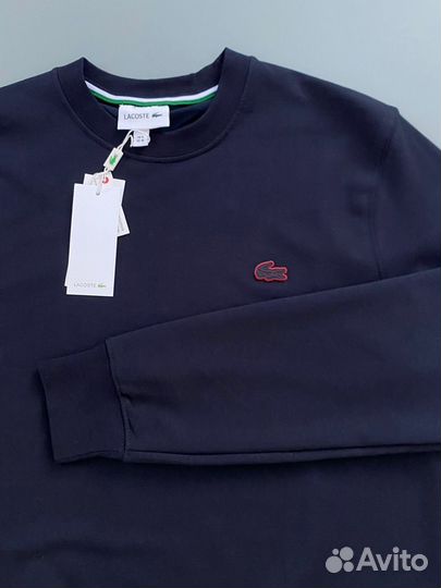 Свитшот мужской lacoste синий