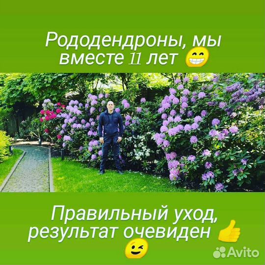 Садовник,агроном,биолог. Специалист по растениям