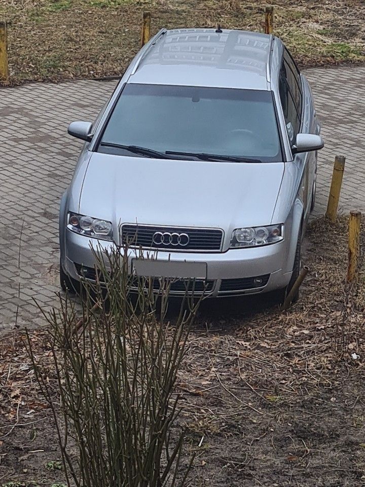 Audi A4: фото владельца