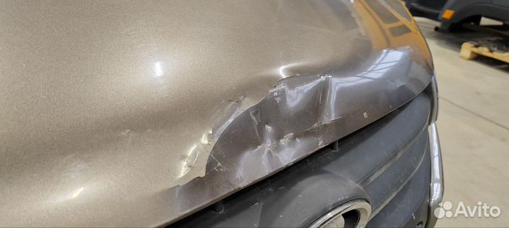 Капот 2190 гранта Кориандр