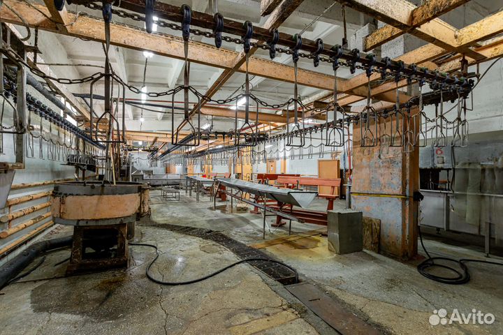 Продам Птицефабрику