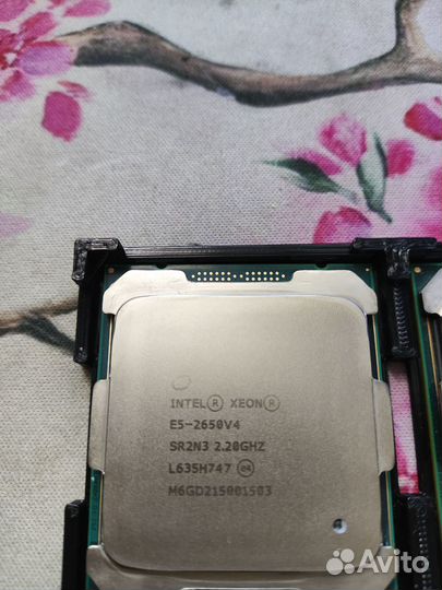 Xeon E5-2650v4