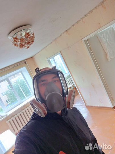 Обработка от насекомых грызунов дезинсекция