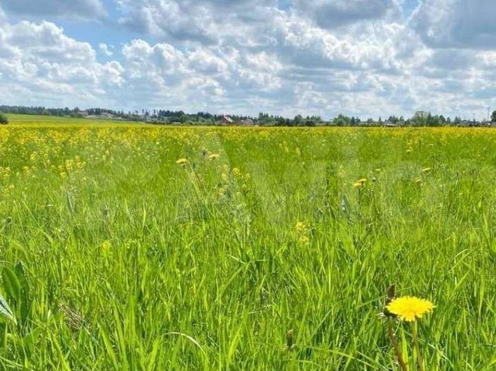 Участок 10 сот. (ИЖС)