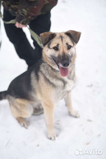 Молодая и активная девочка Валя