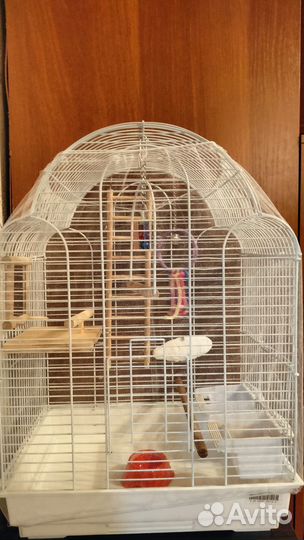 Клетка для попугая