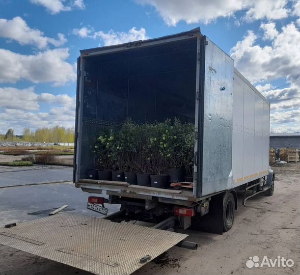 Грузоперевозки