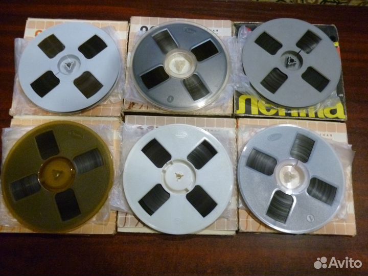 Свема Тасма Славич на цветных катушках 18