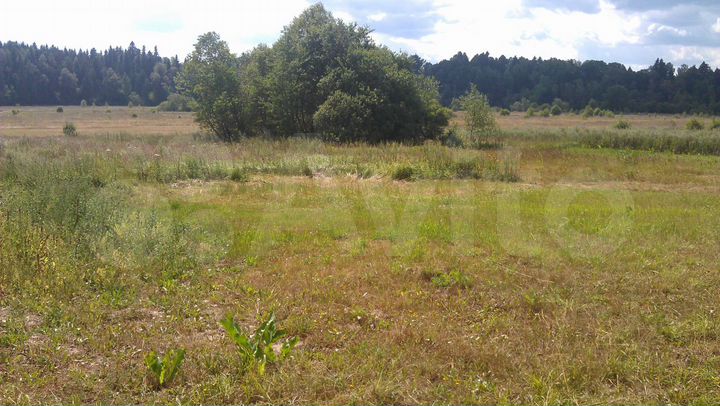 Участок 15 сот. (ИЖС)