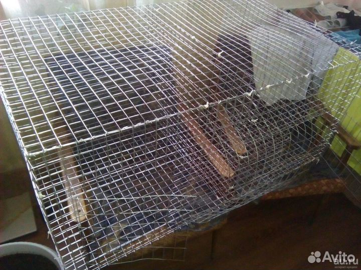 Клетка для кроликов