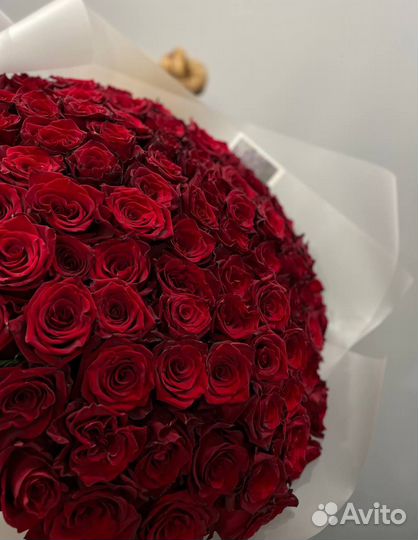 101 роза эквадор