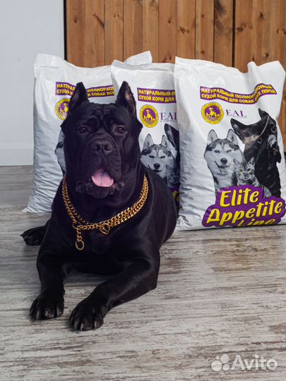 Сухой корм для собак