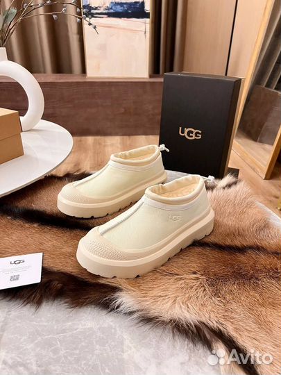 Ugg зима мини
