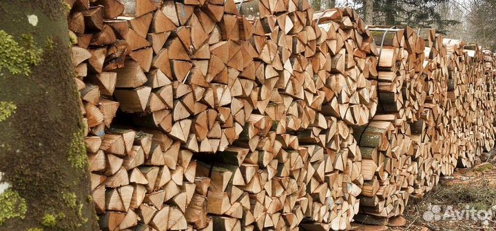 Дрова березовые нарубленные