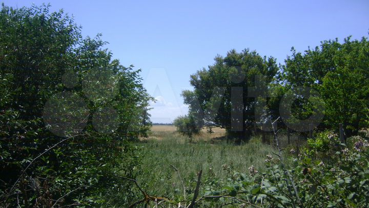 Участок 5 сот. (СНТ, ДНП)