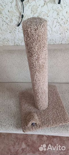 Когтеточка бежевая