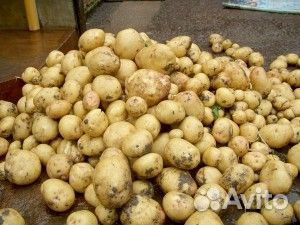 Продам мелкий картофель