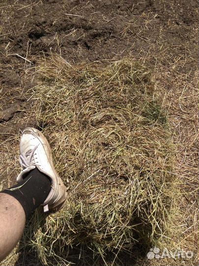 Сено, солома в тюках