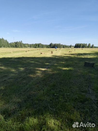 Сено в тюках