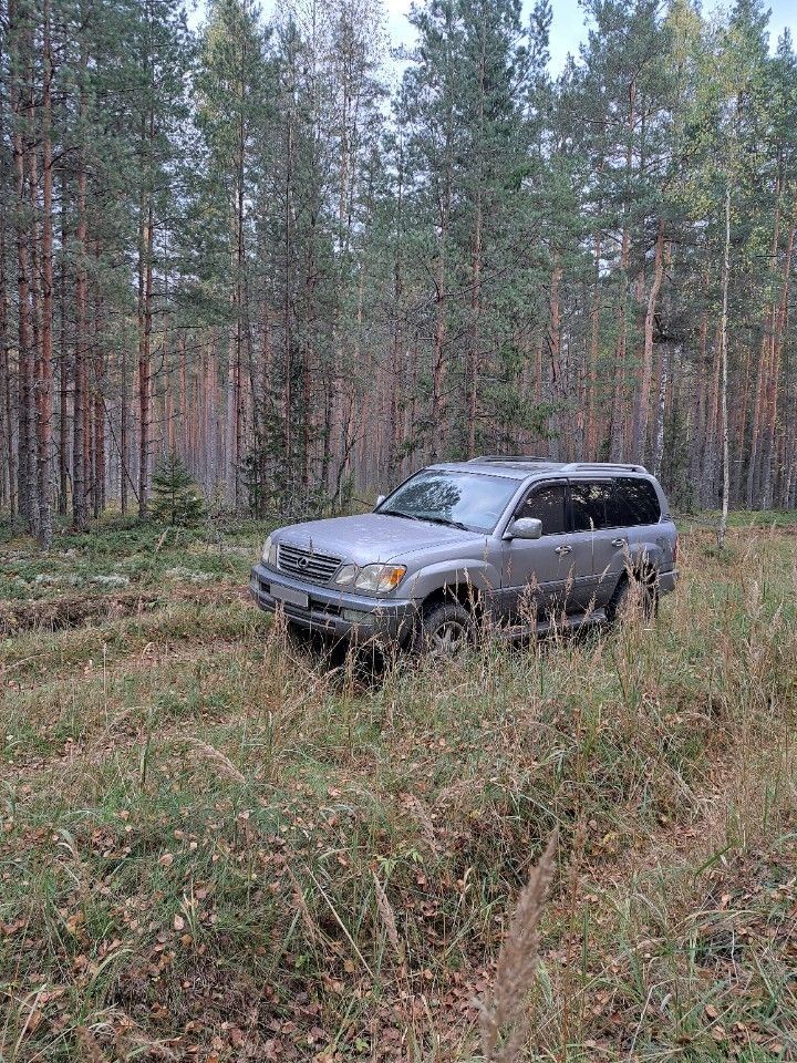 Lexus LX: фото из отзыва