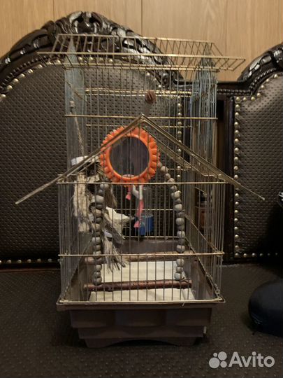 Клетка для птиц с аксесуарами