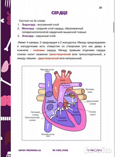 Репетитор биология ЕГЭ (пособие 