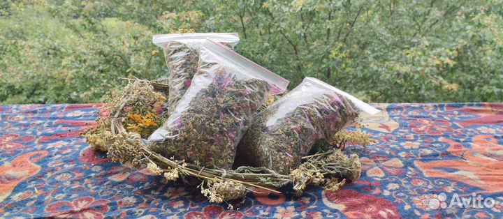 Горные травы, домики для проживания в Мезмае